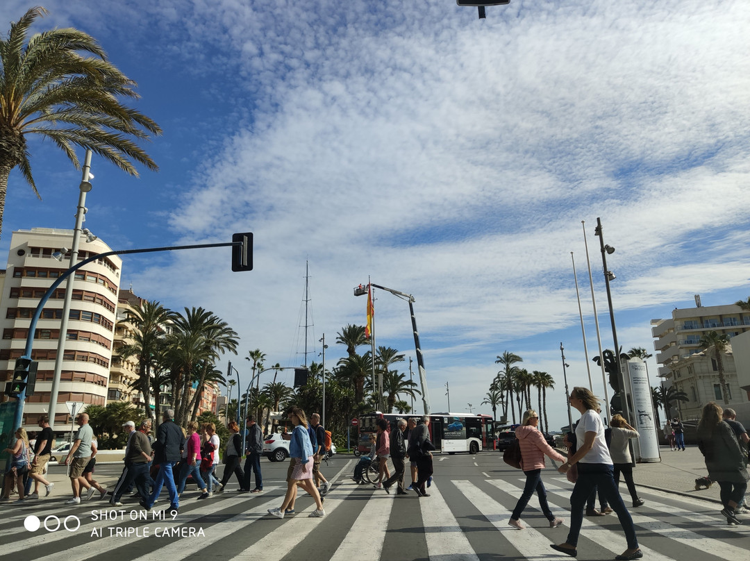 Plaça Porta del Mar景点图片