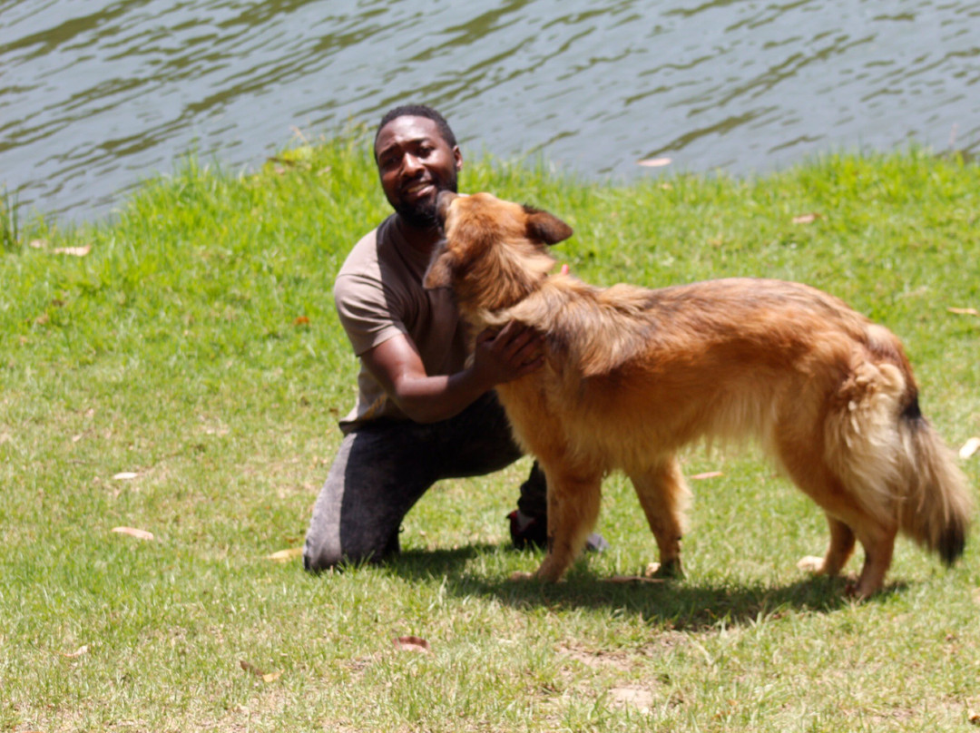 Supreme Adventure Park Bunyonyi-卡巴莱必去景点