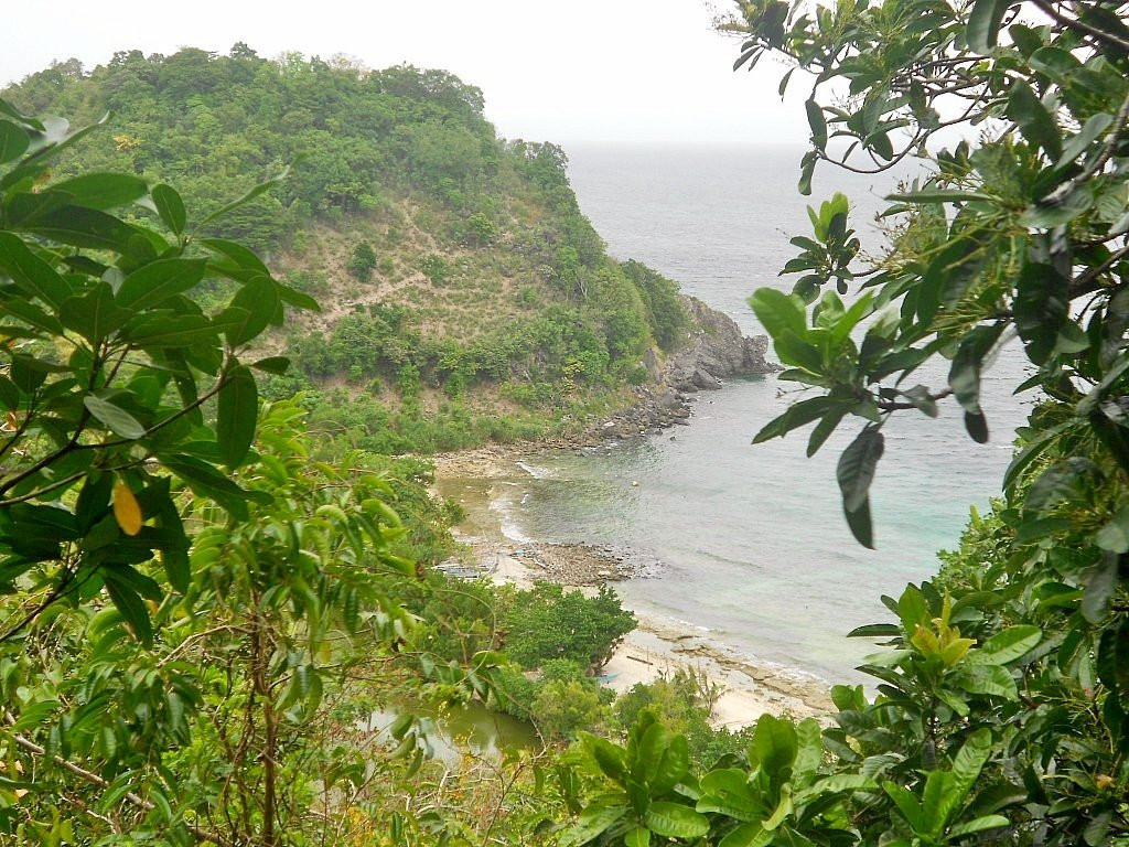 Apo Island View Deck景点图片