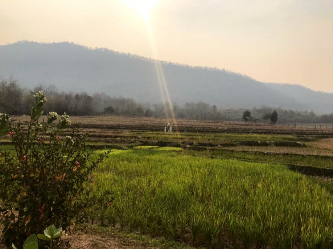 Lee 7 Farm景点图片