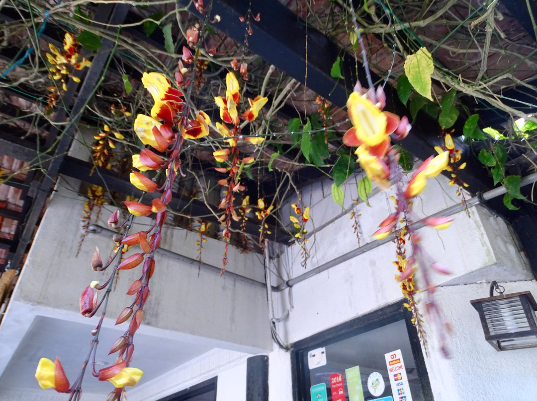 希尔维尤客栈主图