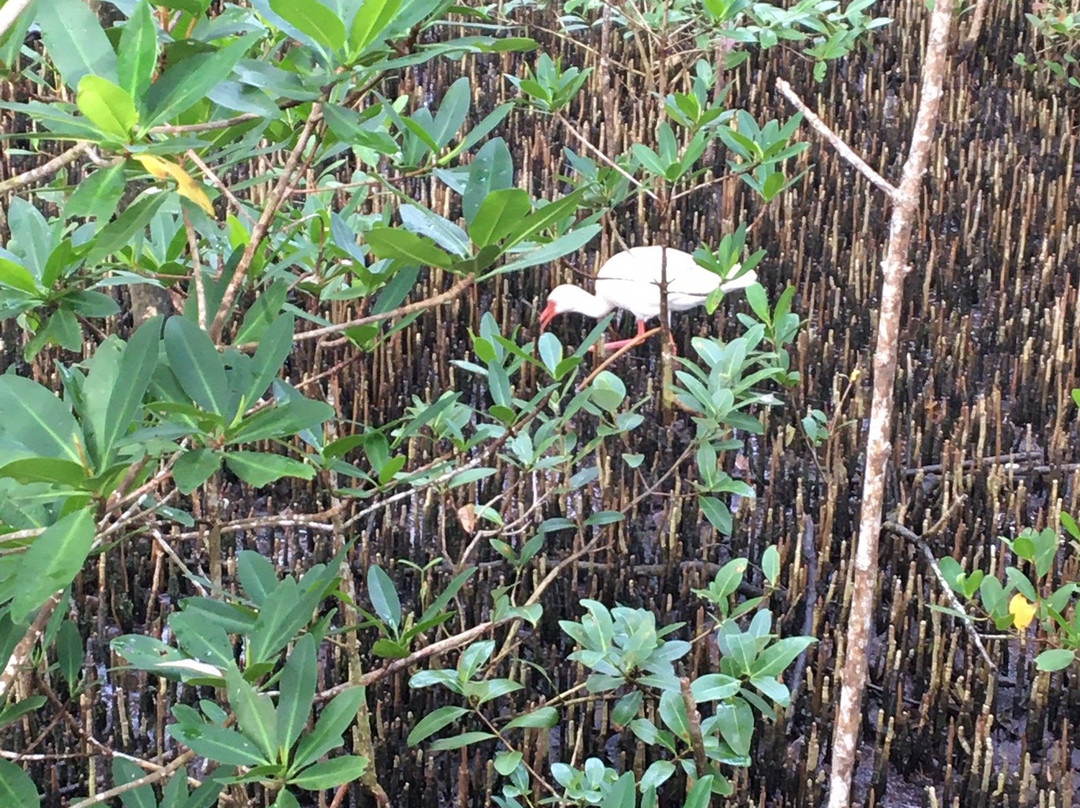 Rotary Park Environmental Center-开普科勒尔必去景点