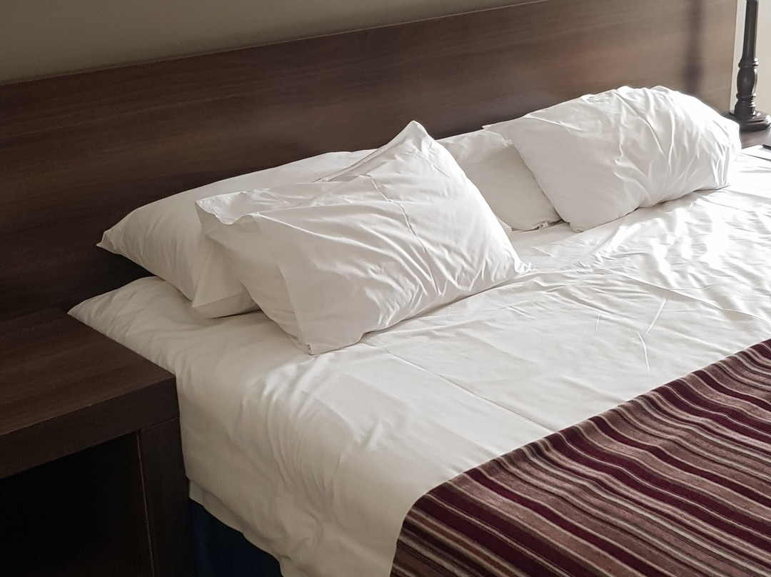 理查德斯普罗梯亚酒店主图