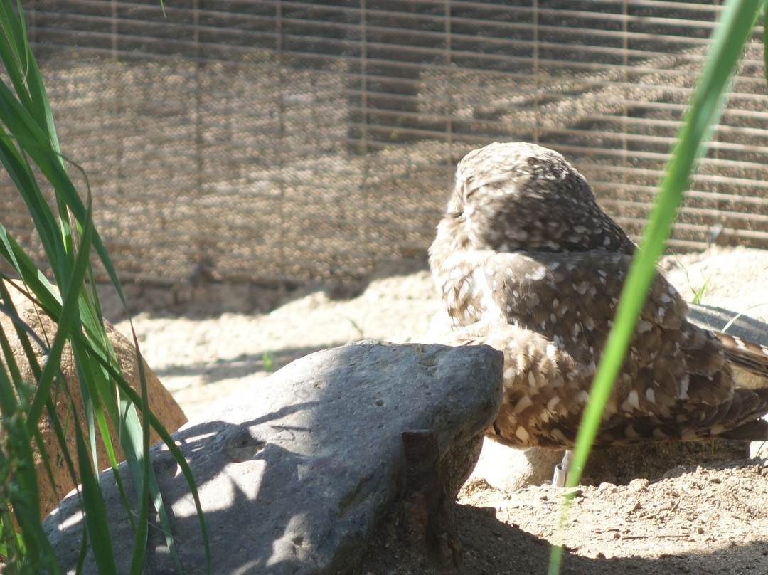 Living Coast Discovery Center-丘拉维斯塔必去景点