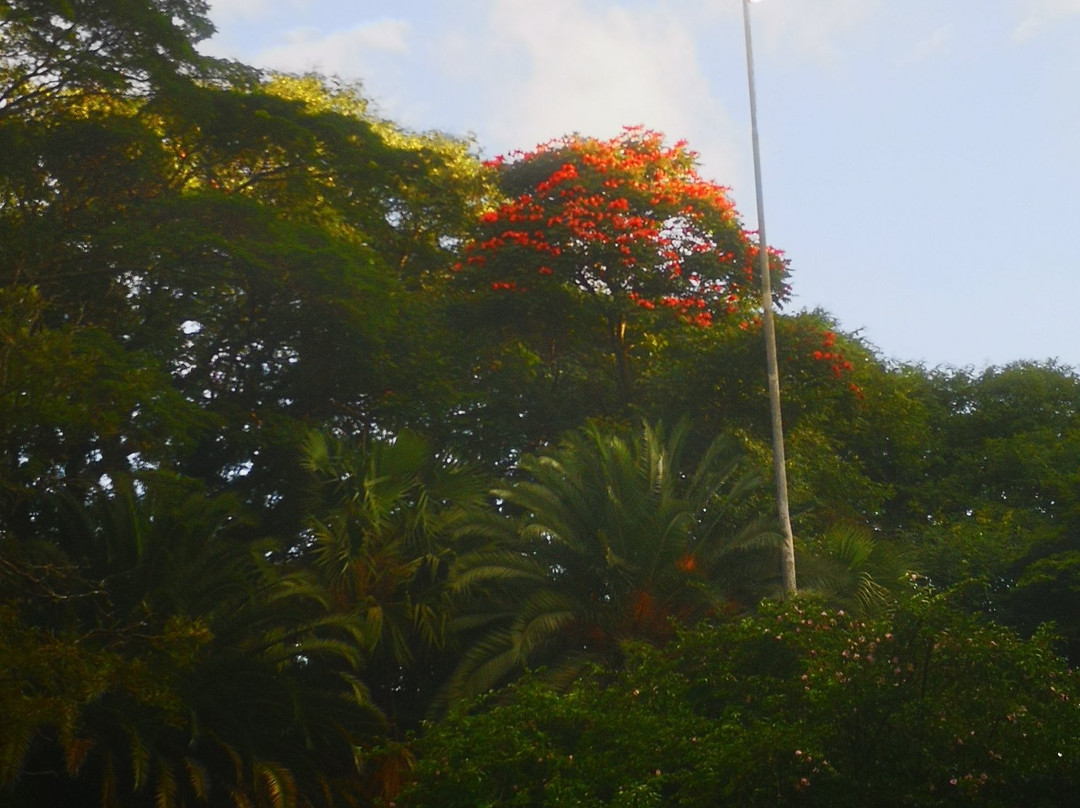 伊比拉布维拉公园-圣保罗必去景点