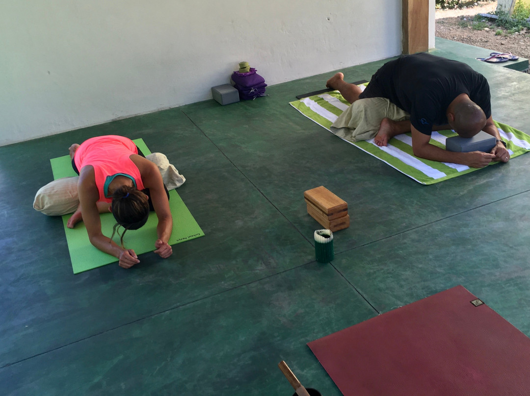 Satsang Yoga-大滩必去景点