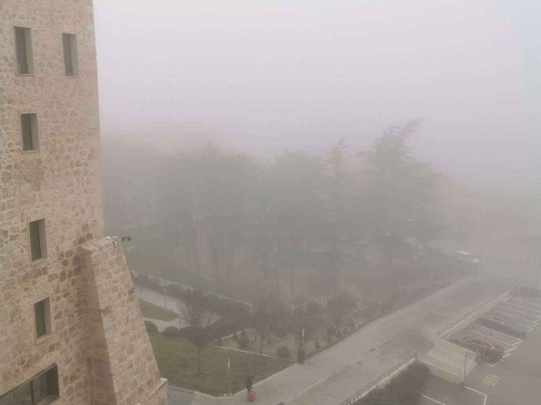 Gran Hotel Botanicos主图
