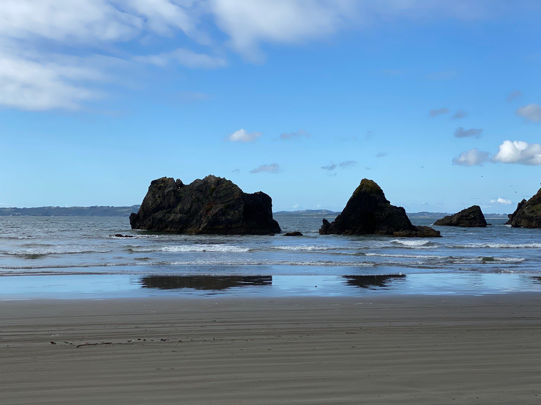 Islotes de Punihuil-奇洛埃岛必去景点