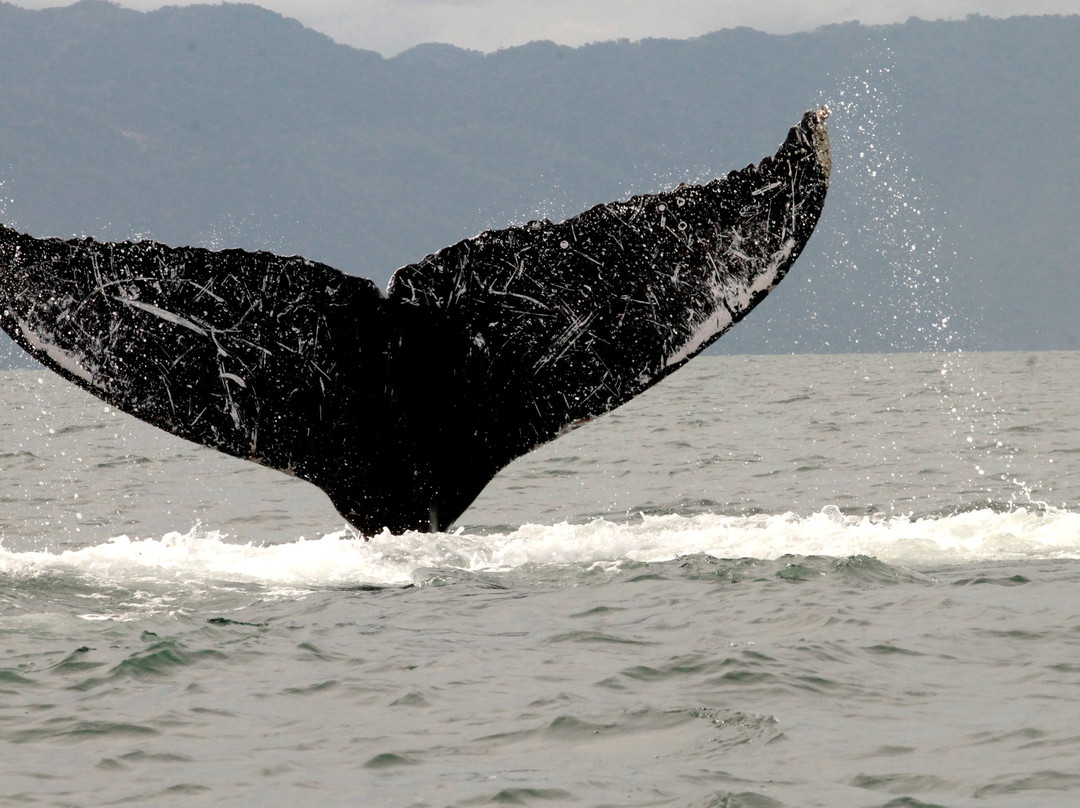 Vallarta Natural Experience-瓦拉塔港必去景点