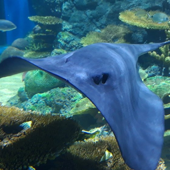 Golden Hall Mall-Chalandri必去景点