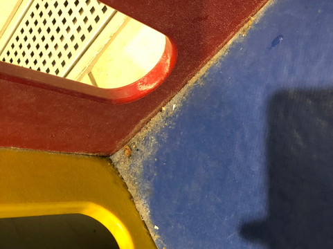 Westminster Lodge Leisure Centre-圣奥尔本斯必去景点