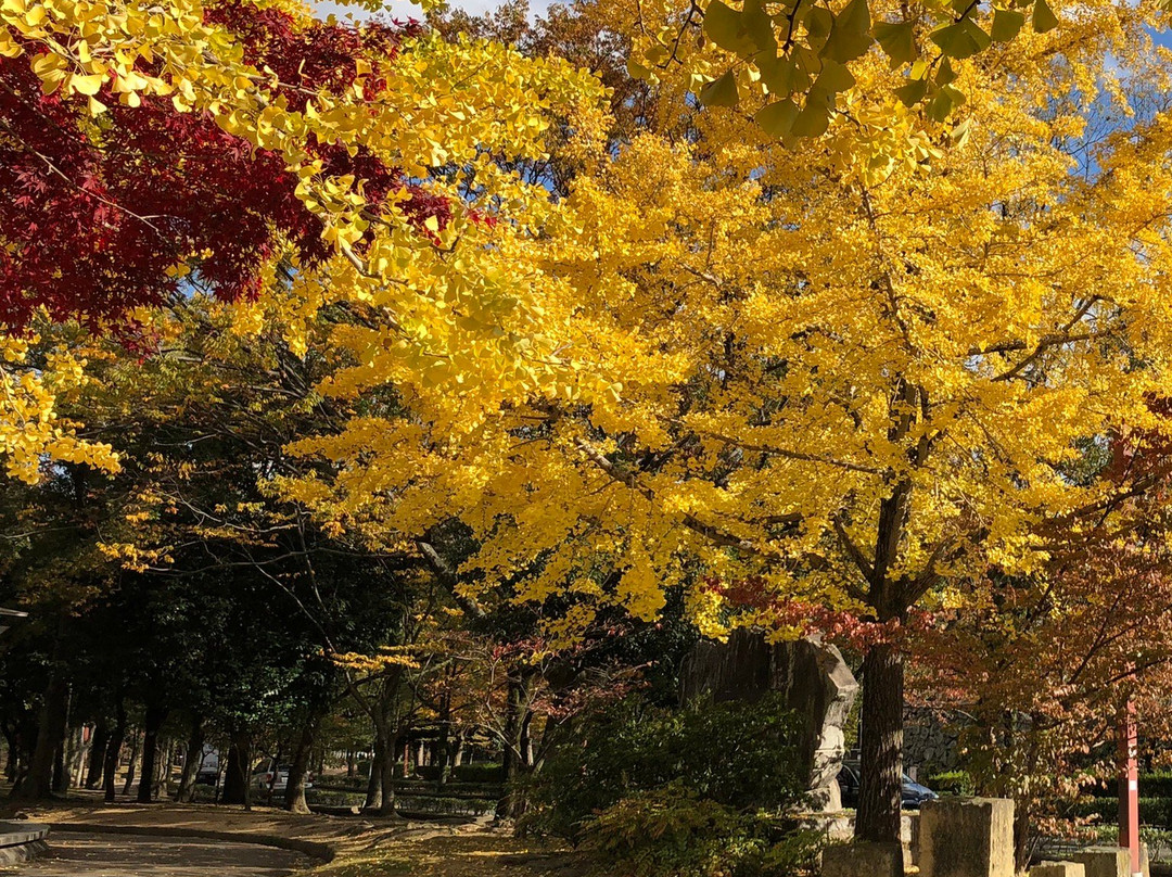 Himeji Park-姬路市必去景点
