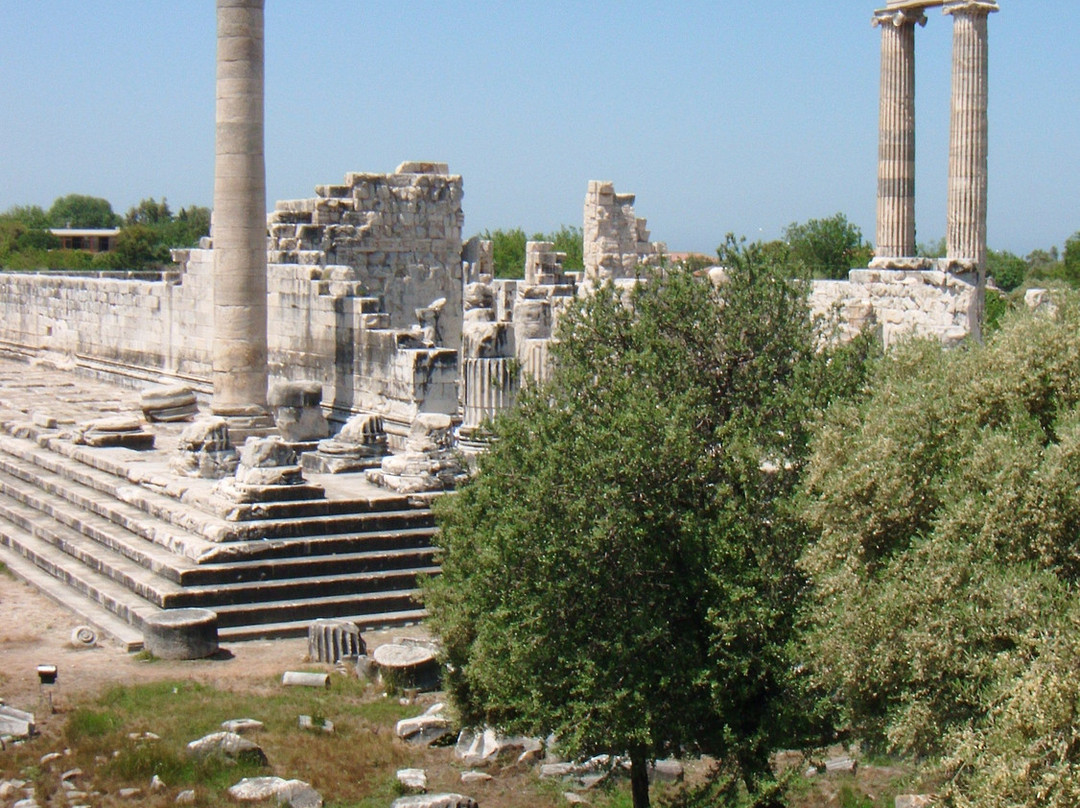 Temple of Apollo-迪迪姆必去景点