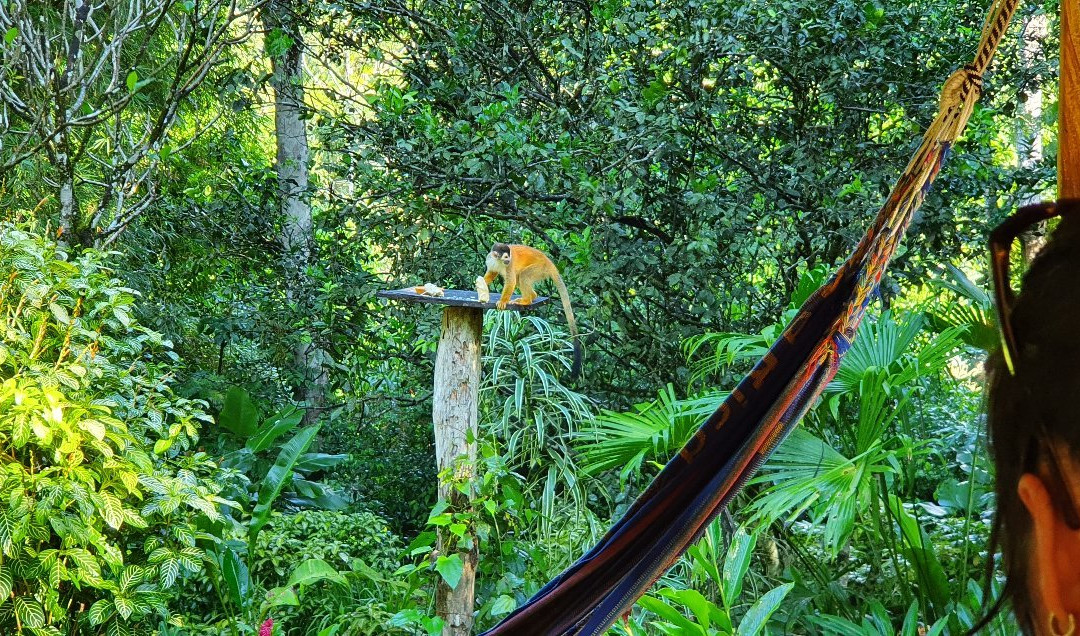 La Purruja Lodge主图