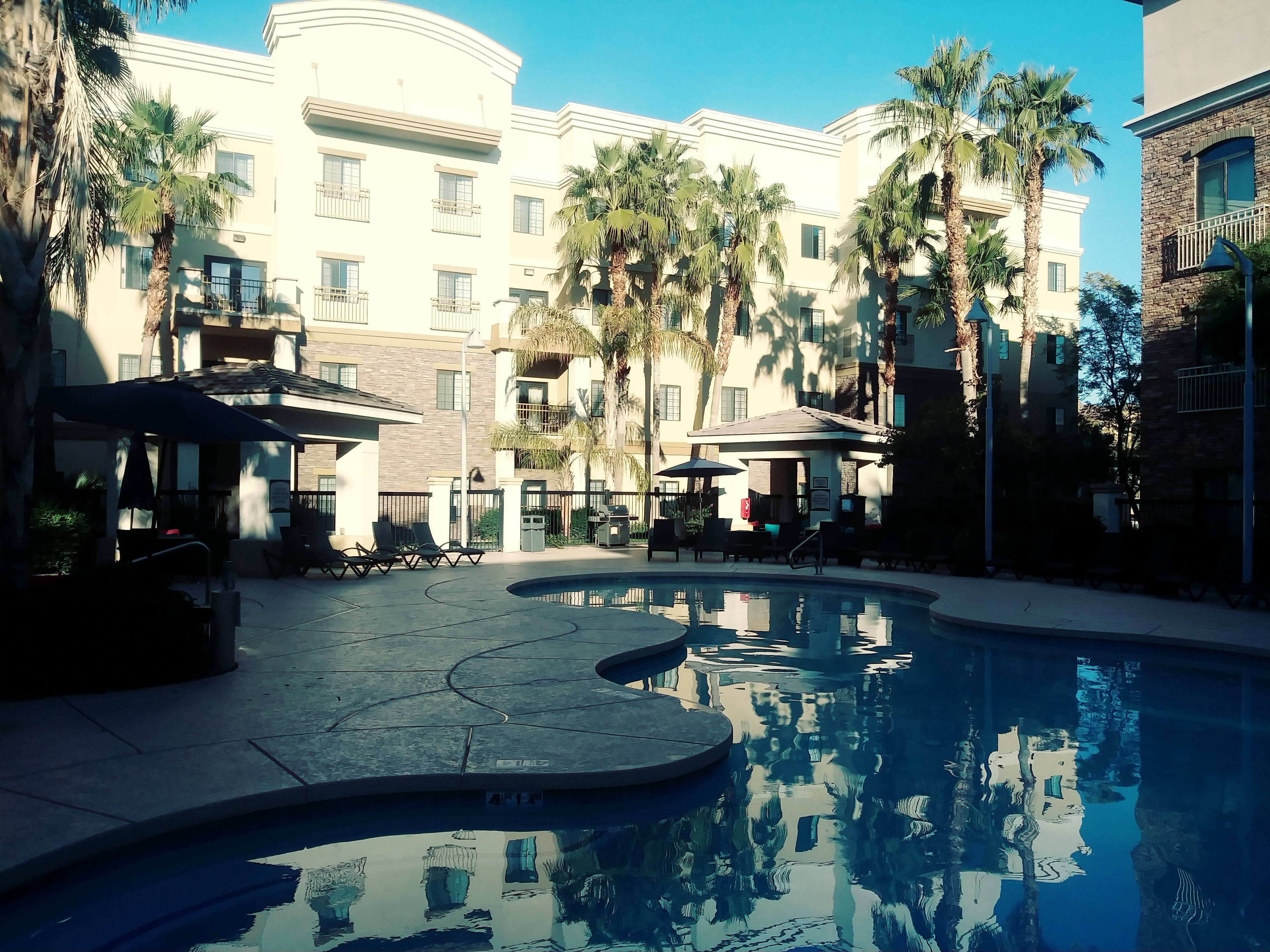 Staybridge Suites Phoenix - Glendale Sports Dist, an IHG Hotel-泳池
