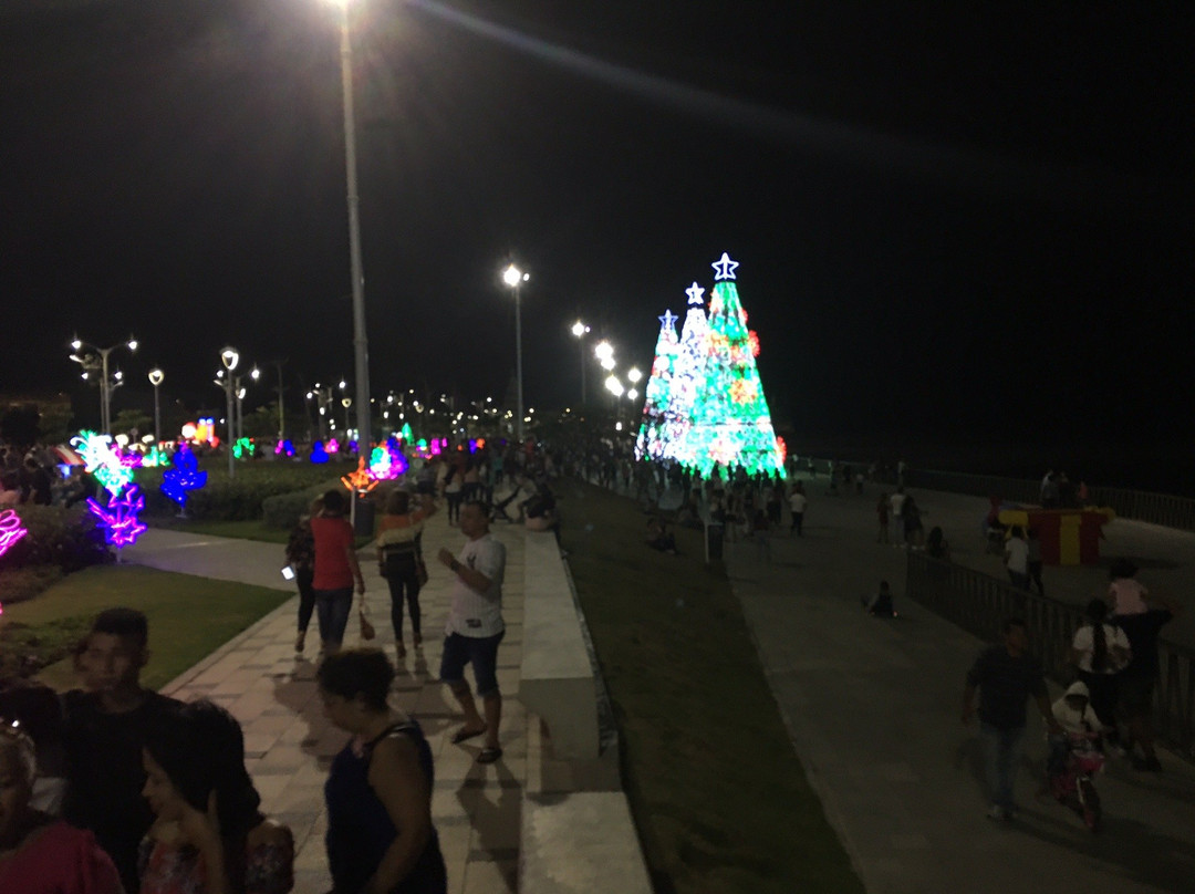 Malecon Leon Caridi景点图片