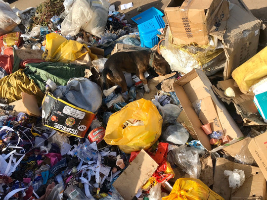 Mercado Central-Bissau必去景点