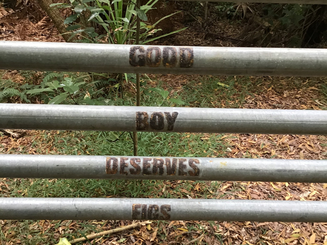 Brick Bay Sculpture Trail-Snells Beach必去景点