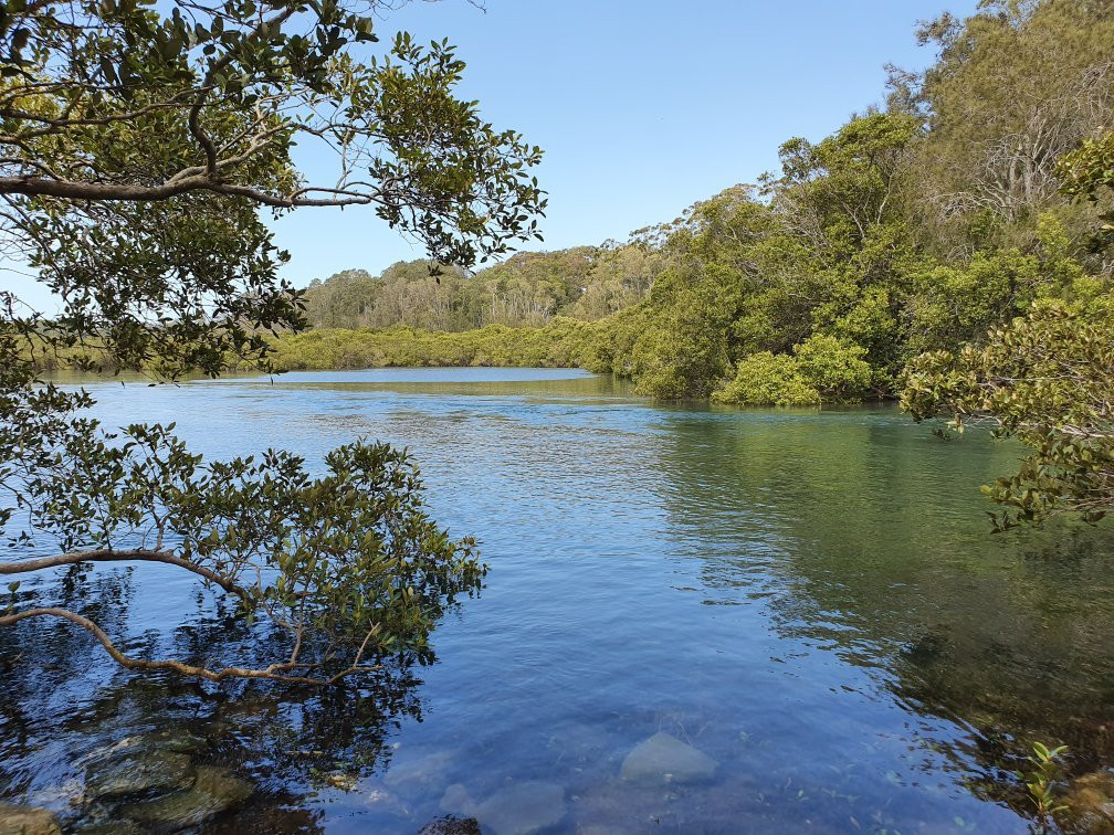 Kooloonbung Creek Nature Park-麦克夸利港必去景点