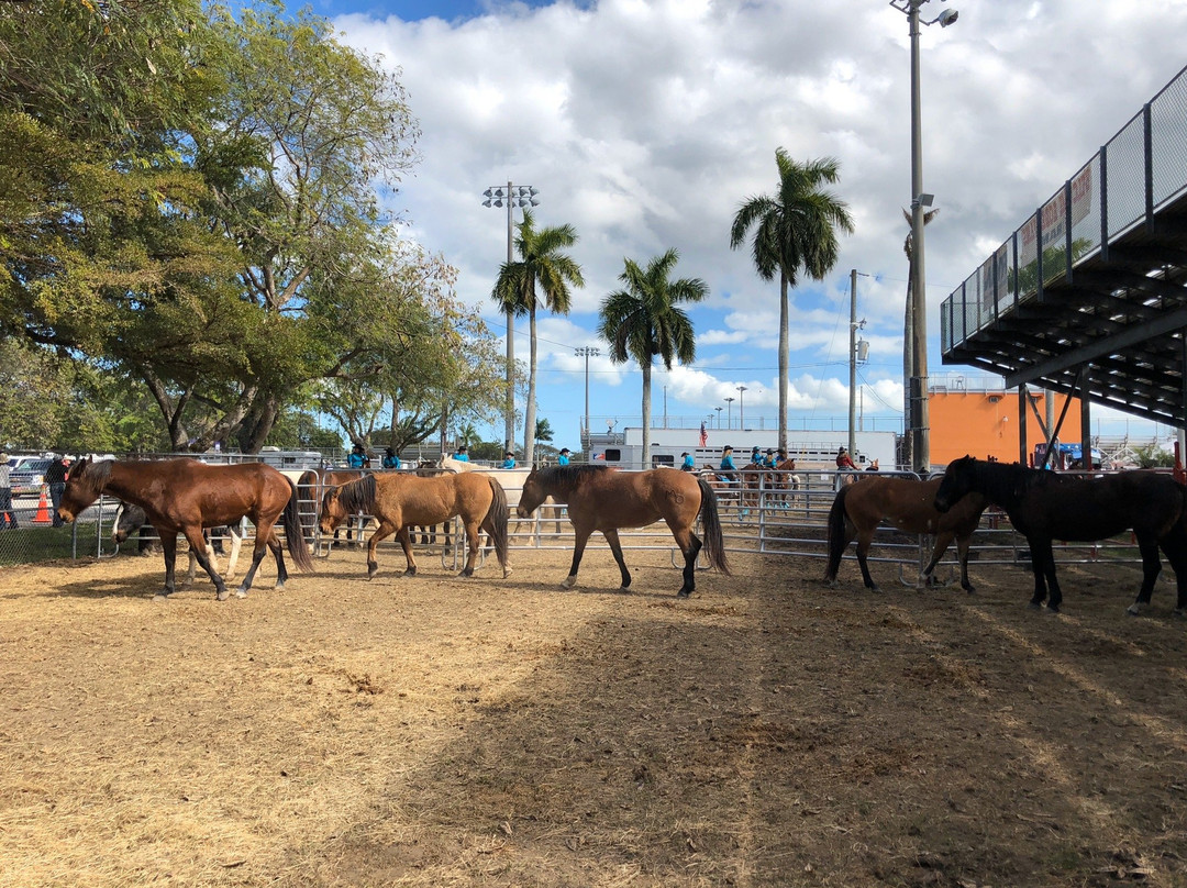 Harris Field Park-霍姆斯特德必去景点