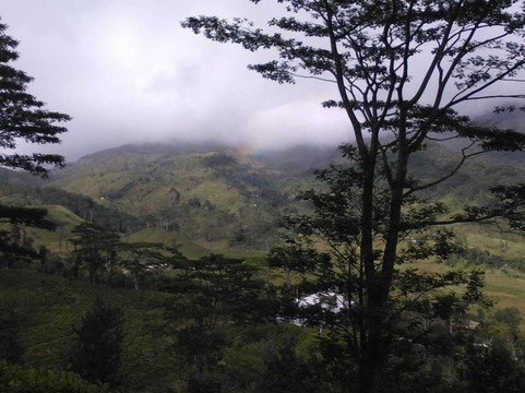 Loger-佩拉德尼亚必去景点