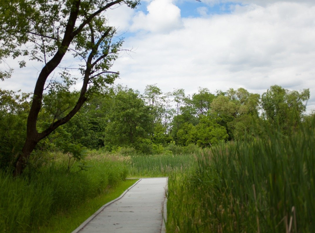 Lincoln Marsh Nature Preserve景点图片