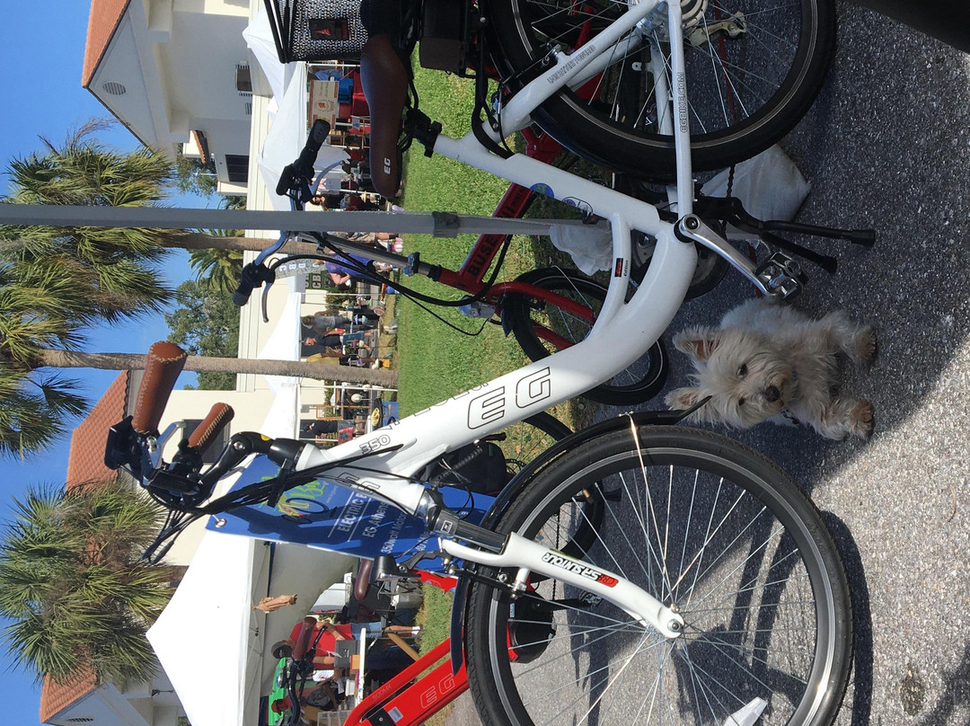 Big Bam eBikes-威尼斯必去景点