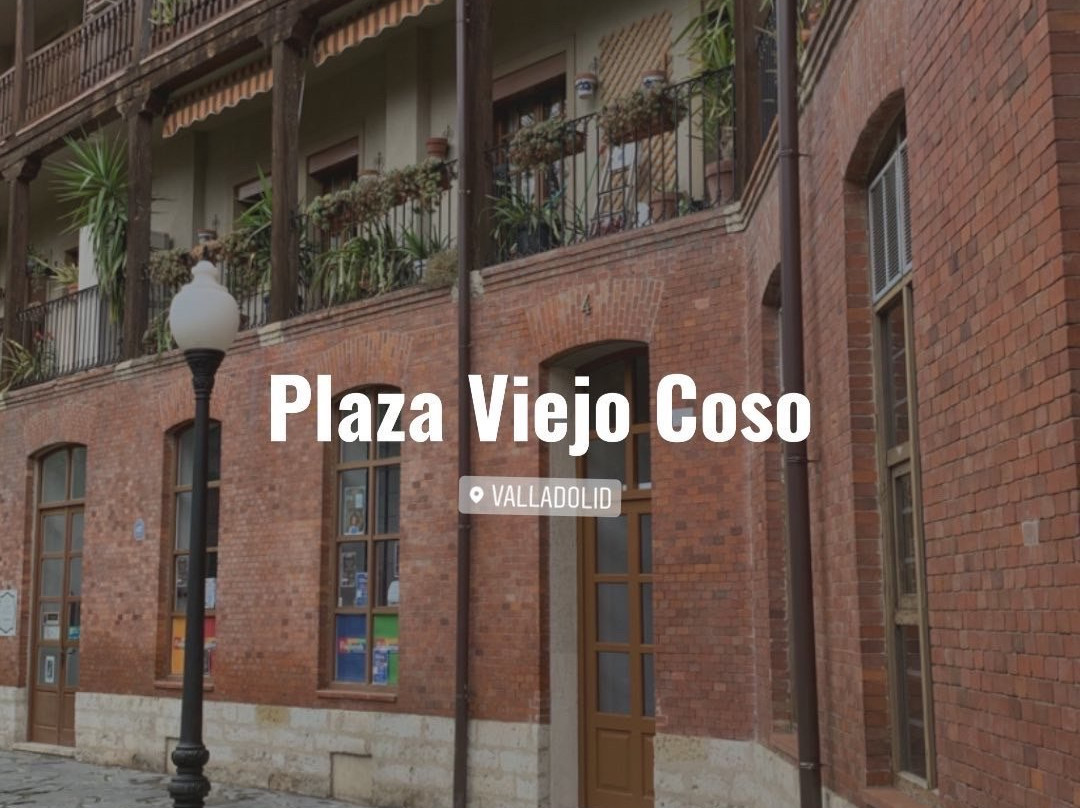 Plaza Viejo Coso景点图片