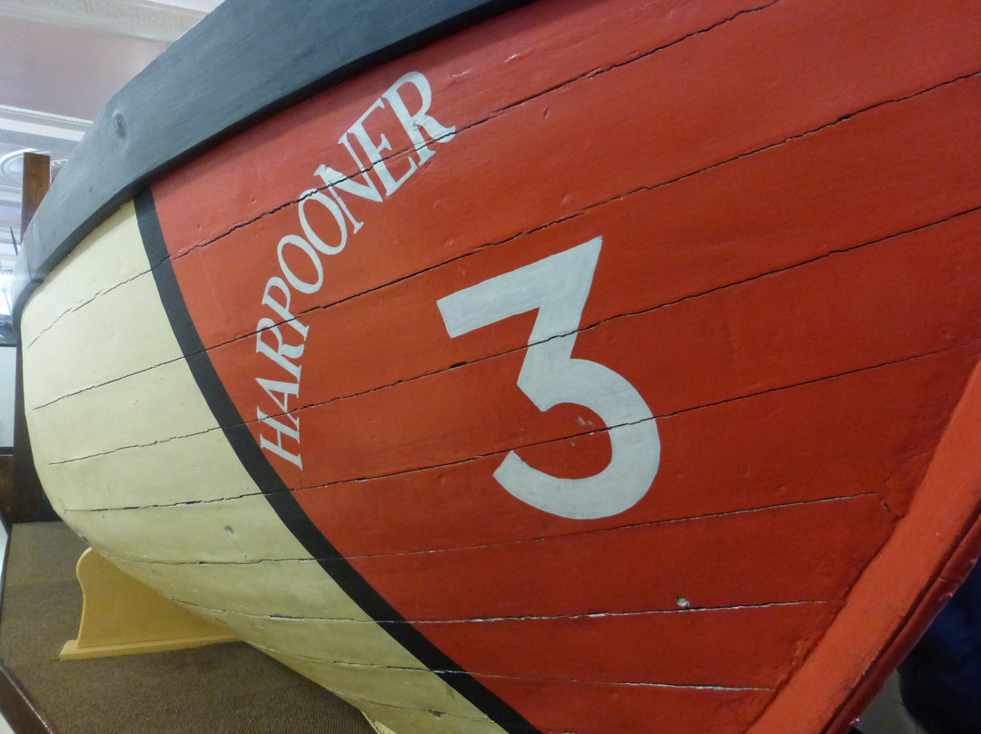 Hull Maritime Museum景点图片