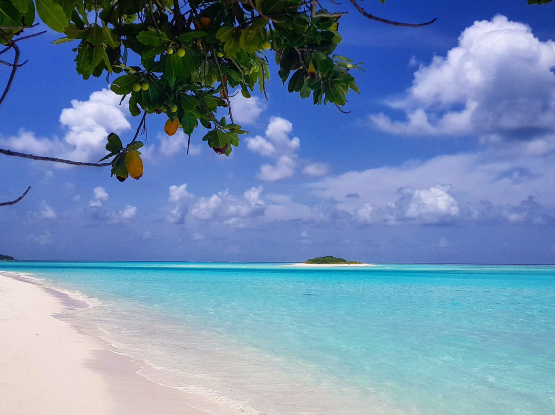 Arivilla Seaview主图