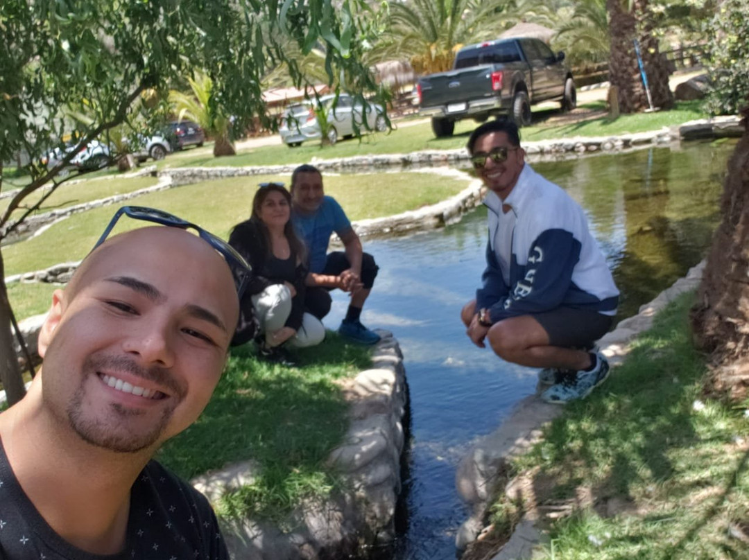 Hotel Vertientes de Elqui主图