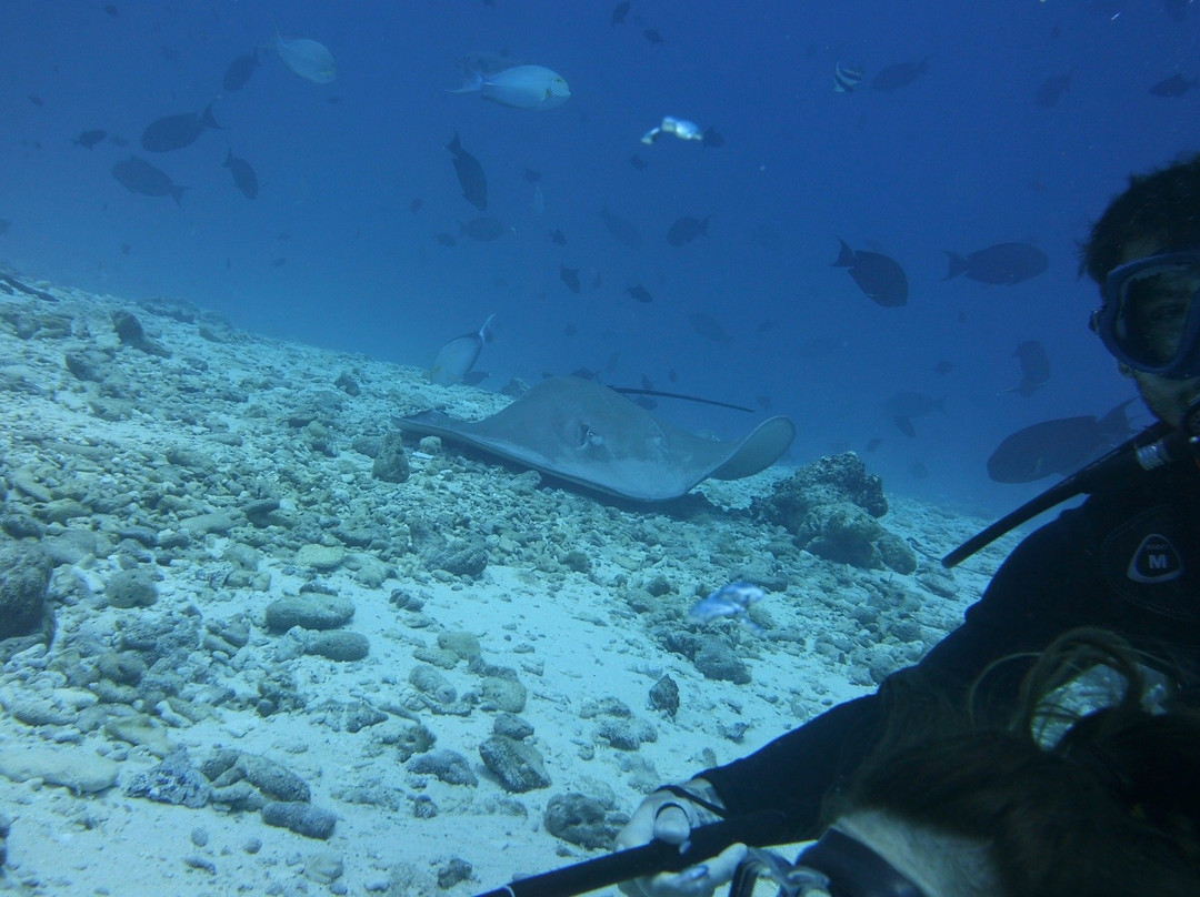 Ocean Junkies | Dive Centre-胡鲁马累必去景点