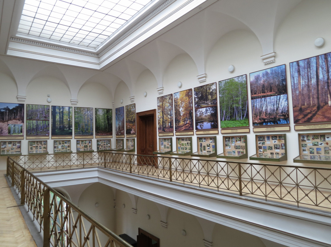 National Museum of Bosnia and Herzegovina景点图片