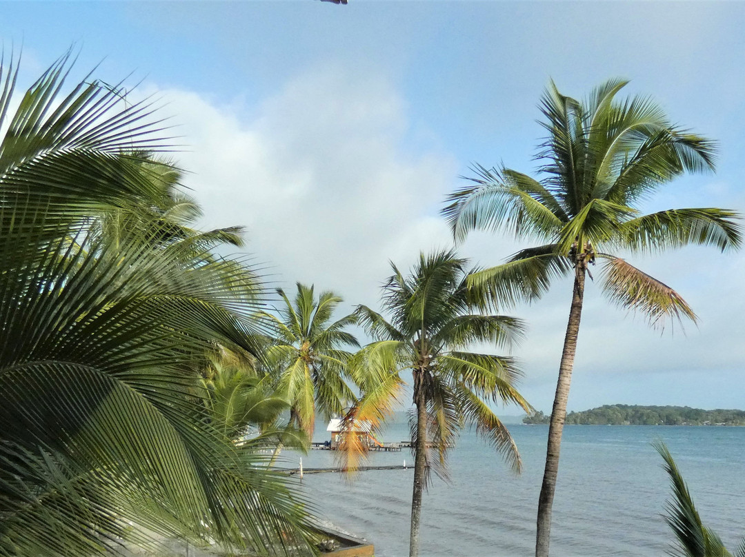 El Faro del Colibri主图