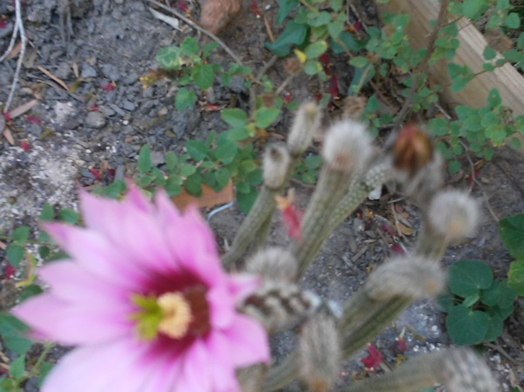 World Birding Center-Harlingen必去景点