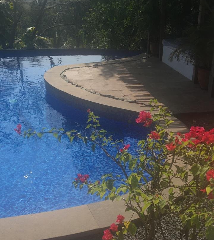 Capella Forest Retreat & Homestay主图