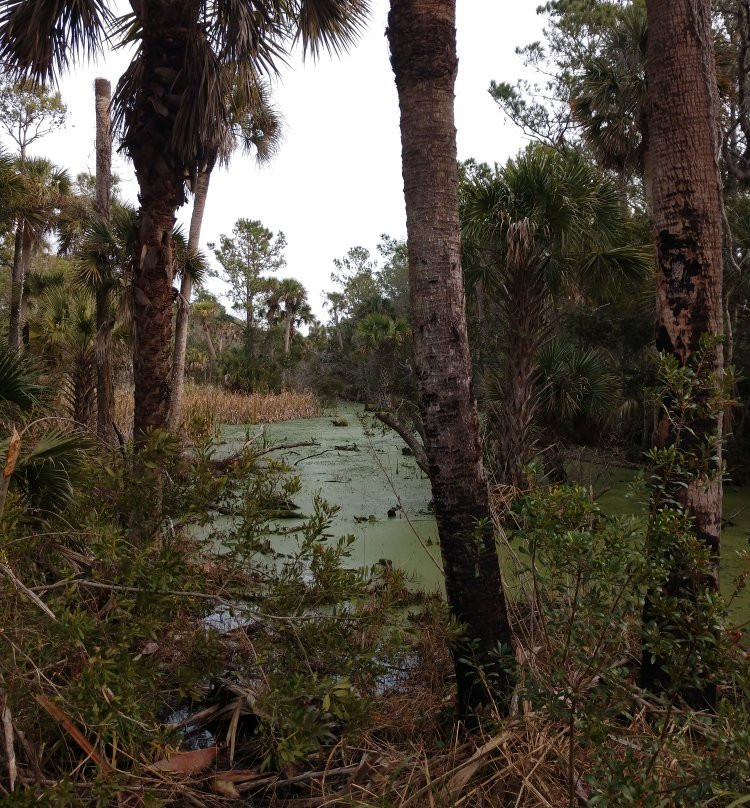 Cape Romain National Wildlife Refuge景点图片