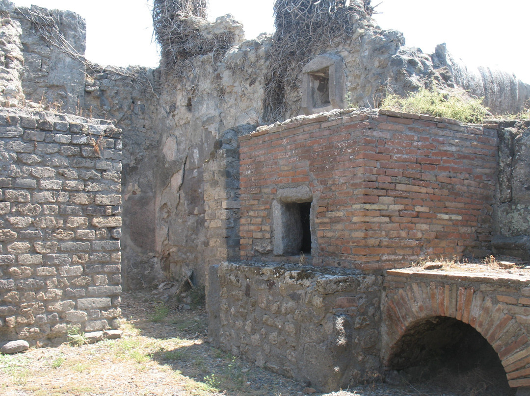 See Amalfi Coast Official-阿马尔菲必去景点