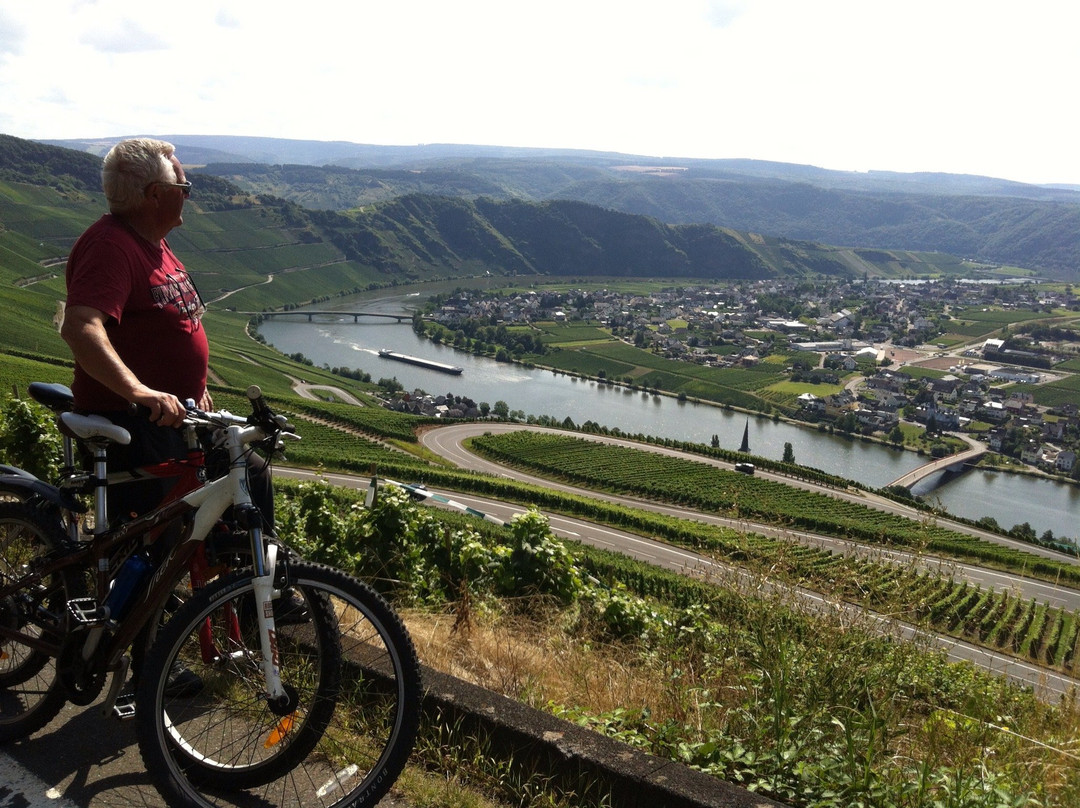 Weinhaus Piesporter Goldtröpfchen主图