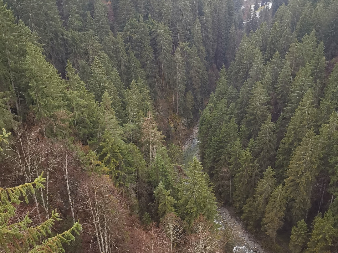 Benni Raich Brucke-Arzl im Pitztal必去景点