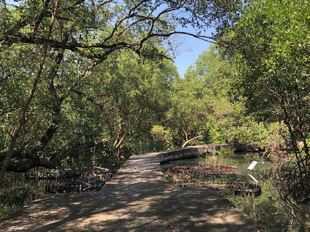 Phra Chedi Klang Nam-罗勇必去景点
