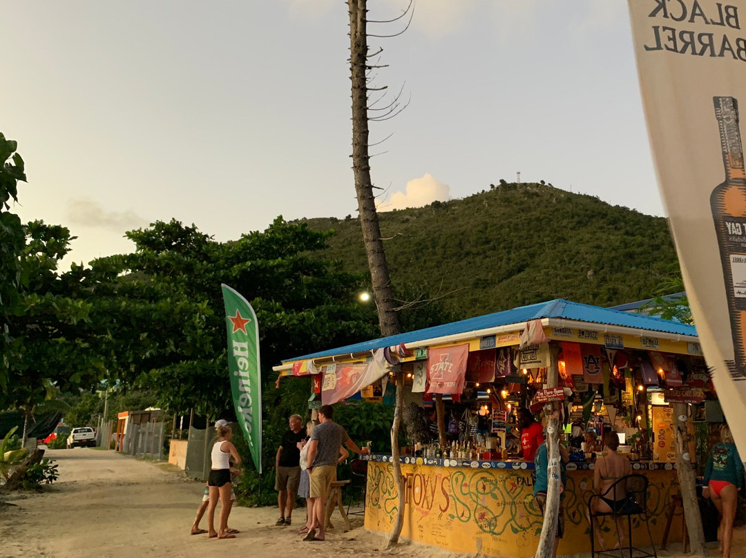 Foxy's Bar-Jost Van Dyke必去景点