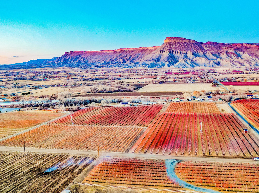 Avant Vineyards-Palisade必去景点