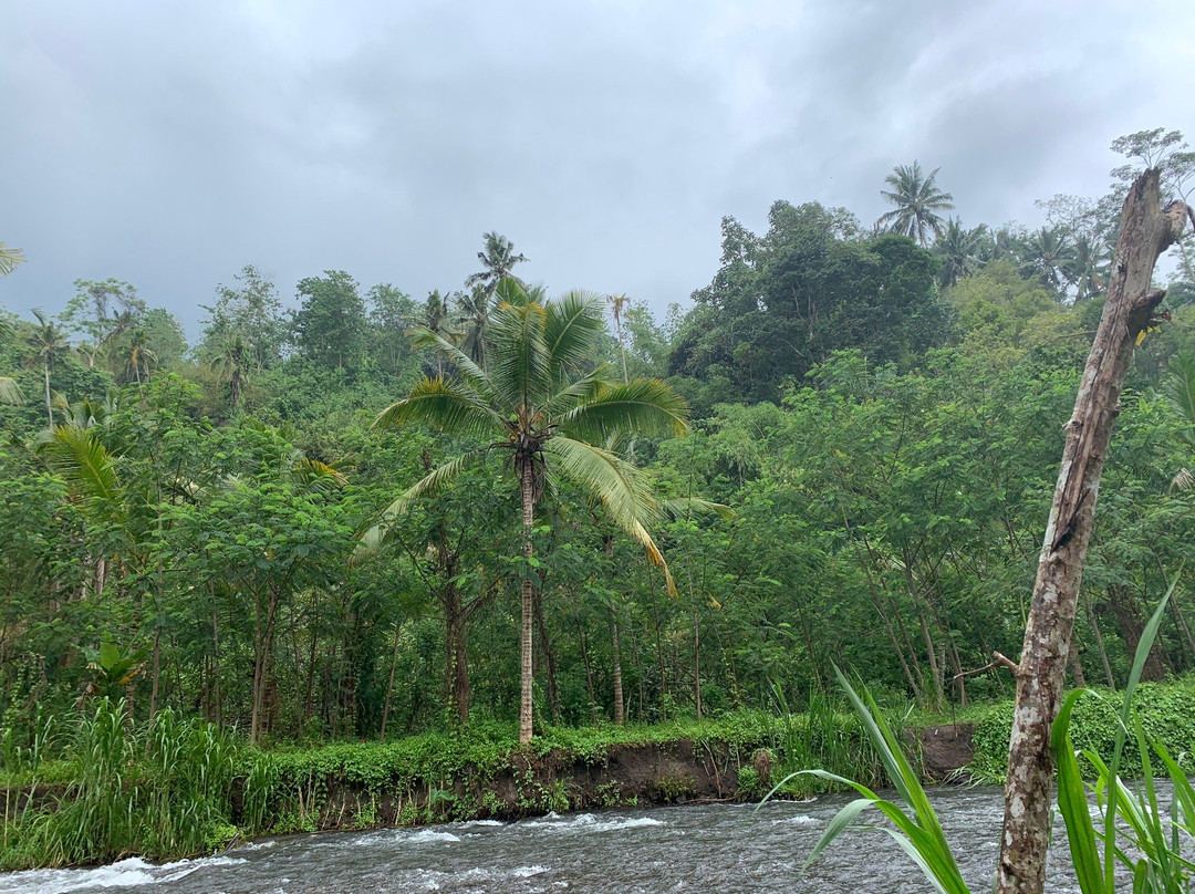 BMW Telaga Waja River Bali Rafting景点图片
