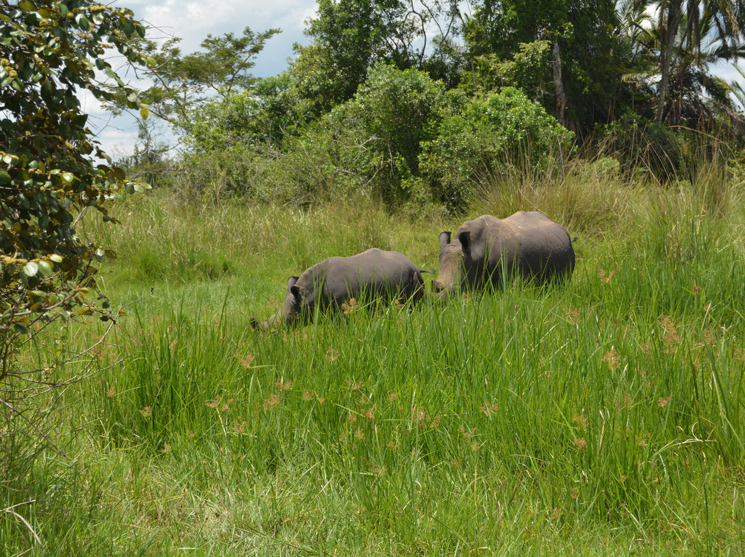 Ngoni Safaris Uganda景点图片