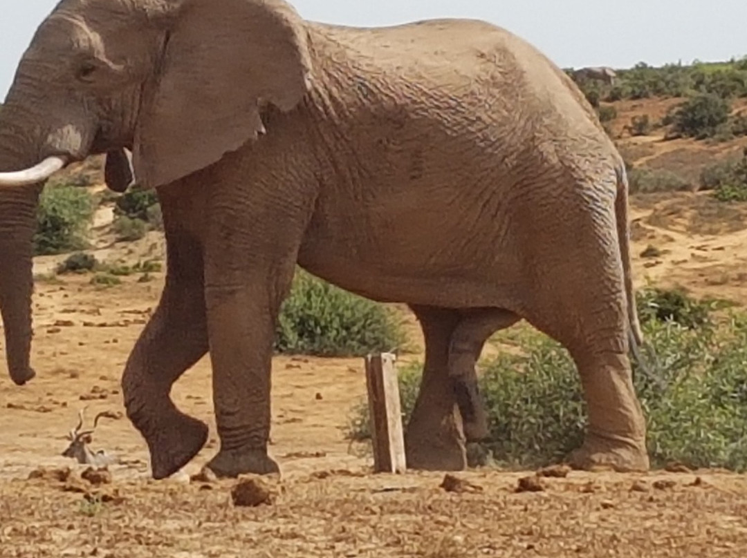 Tip of Africa Information Centre-Struisbaai必去景点