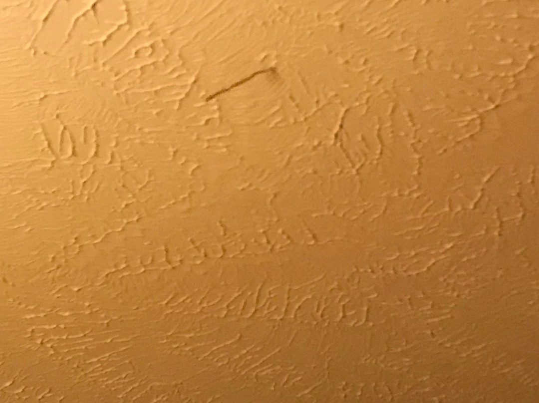 Coronado Motel and RV Park主图