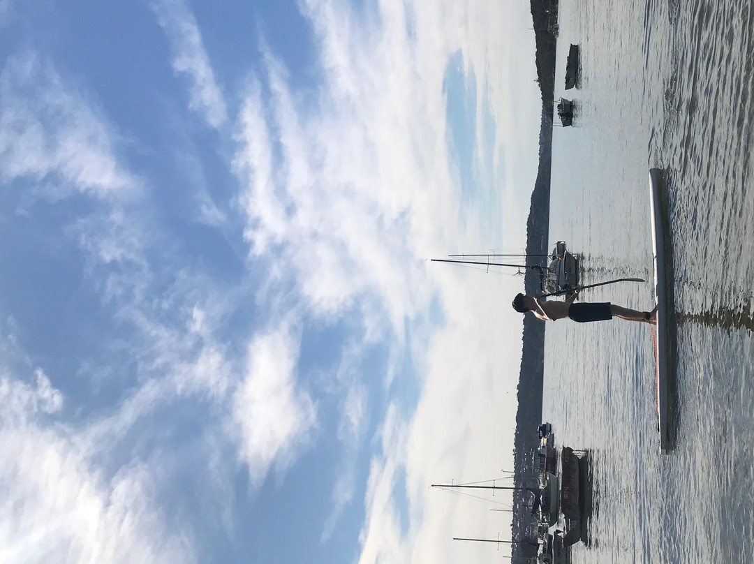 Rose Bay Aquatic Hire-Rose Bay必去景点