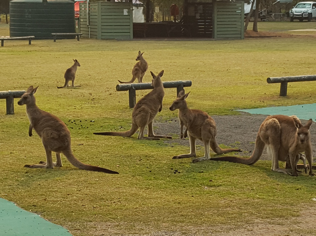 穆拉美人海滨自然度假村主图