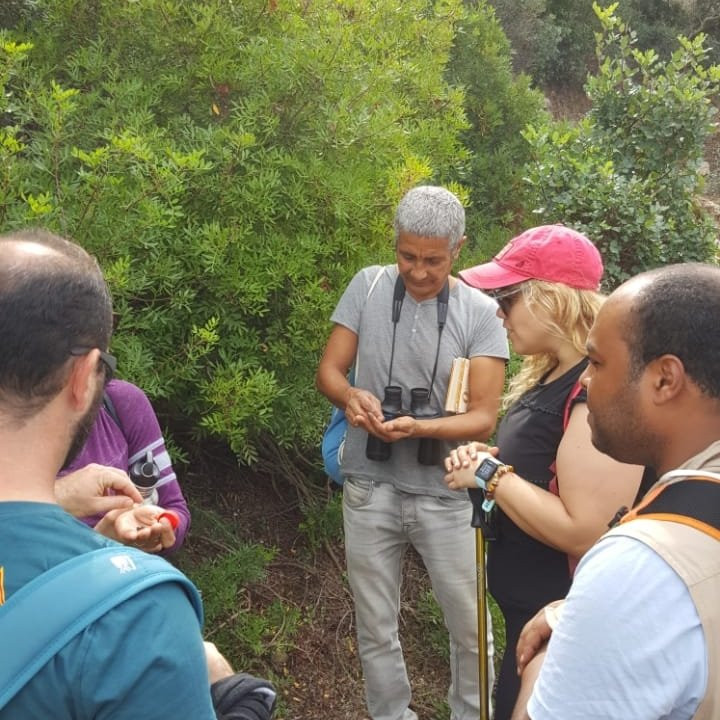 伊斯克乌尔国家公园-比塞大必去景点